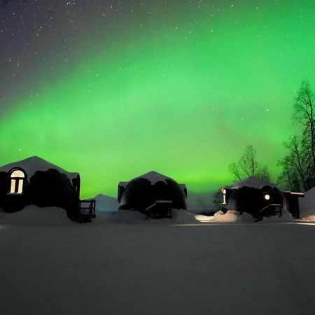 Talkeetna Aerie Adventure Lodge Exterior photo
